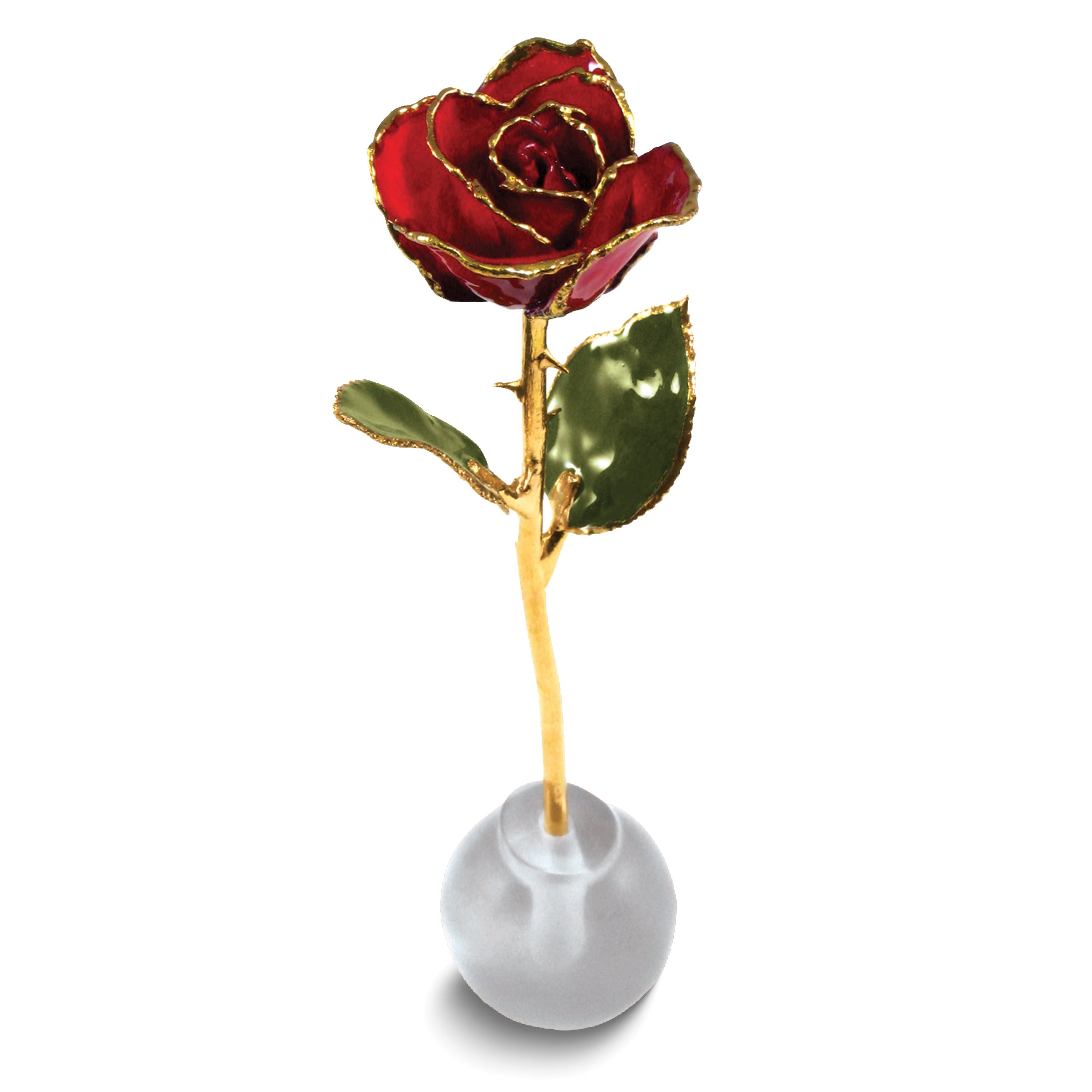 Lacquer Dipped Gold Trimmed Knob Stand Red Real Spring Rose Set