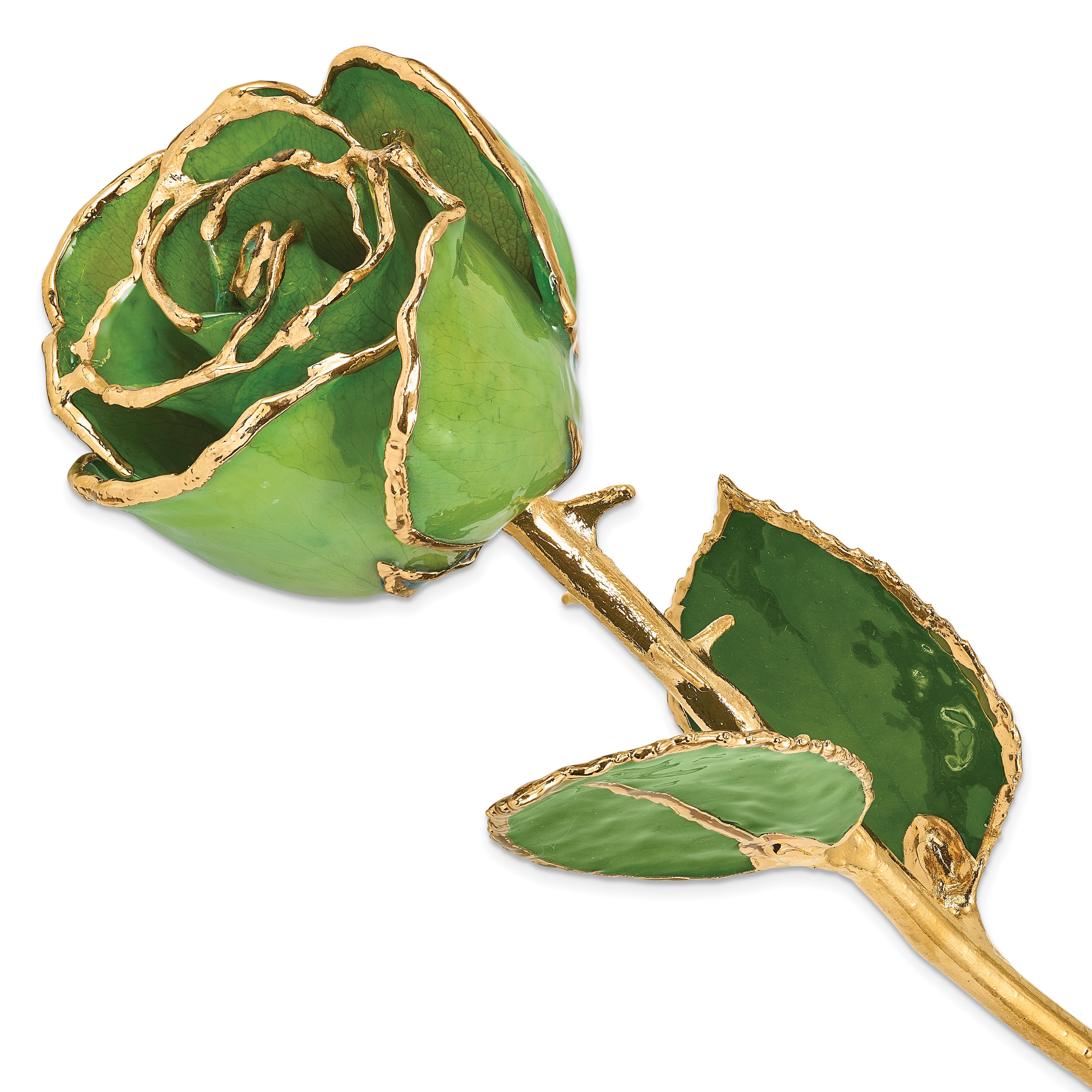 Lacquer Dipped Gold Trimmedmed Peridot/Topaz Real Rose