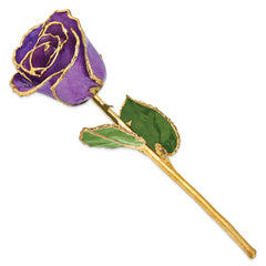 Lacquer Dipped Gold Trimmed Lilac Real Rose