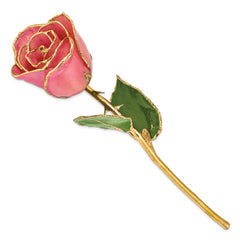 Lacquer Dipped Gold Trimmed Pink Real Rose