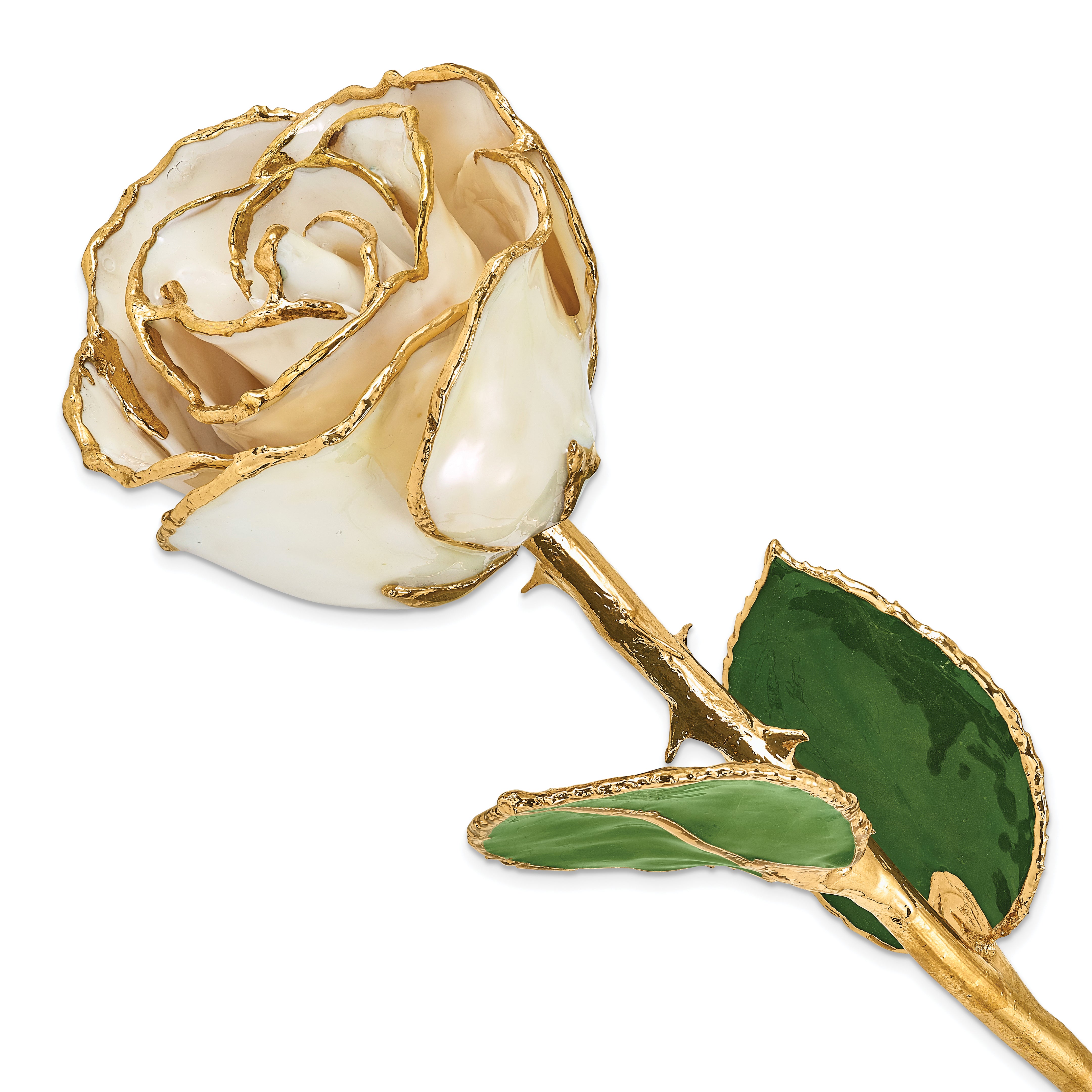 Lacquer Dipped Gold Trimmed White Satin Real Rose