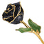 Lacquer Dipped Gold Trimmed Black Real Rose