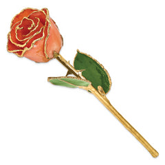 Lacquer Dipped Gold Trimmed Orange Real Rose