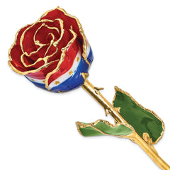Lacquer Dipped Gold Trimmed Liberty Real Rose