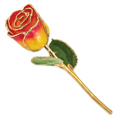 Lacquer Dipped Gold Trimmed Yellow/Red Real Rose
