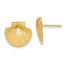 14K Scallop Shell Post Earrings