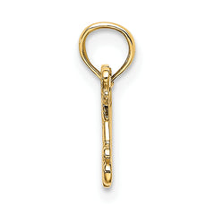 14k I LOVE MY GRANDKIDS Charm