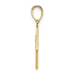 14K Enameled Textured Back Caduceus Medical Disc