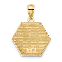 14K Enameled Textured Back Caduceus Medical Disc