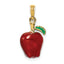 14K w/ Enamel 3-D Red Delicious Apple Charm