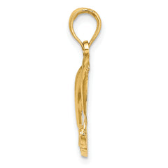 14K Polished NAGS HEAD w/ Jumping Dolphins Charm