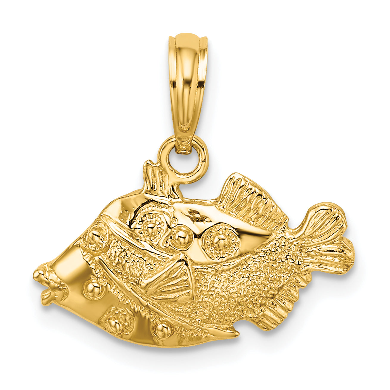 14K 2-D Polished Engraved Fish Charm