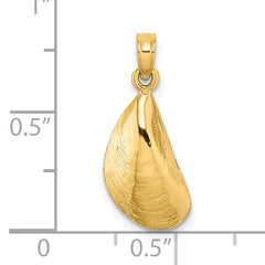 14K Polished Mussel Shell Charm