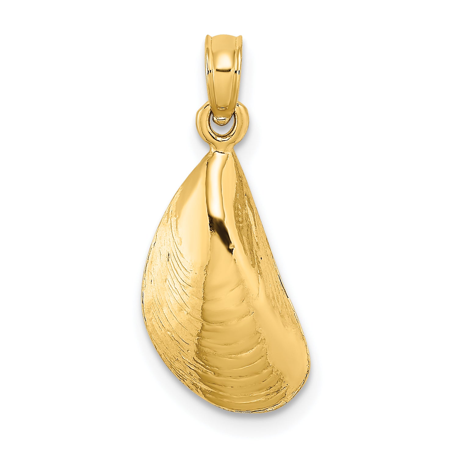 14K Polished Mussel Shell Charm