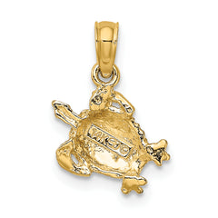 14K Textured Sea Turtle Charm