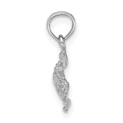 14K White Gold Textured Sea Turtle Charm