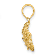 14K Textured Oyster Shell Charm
