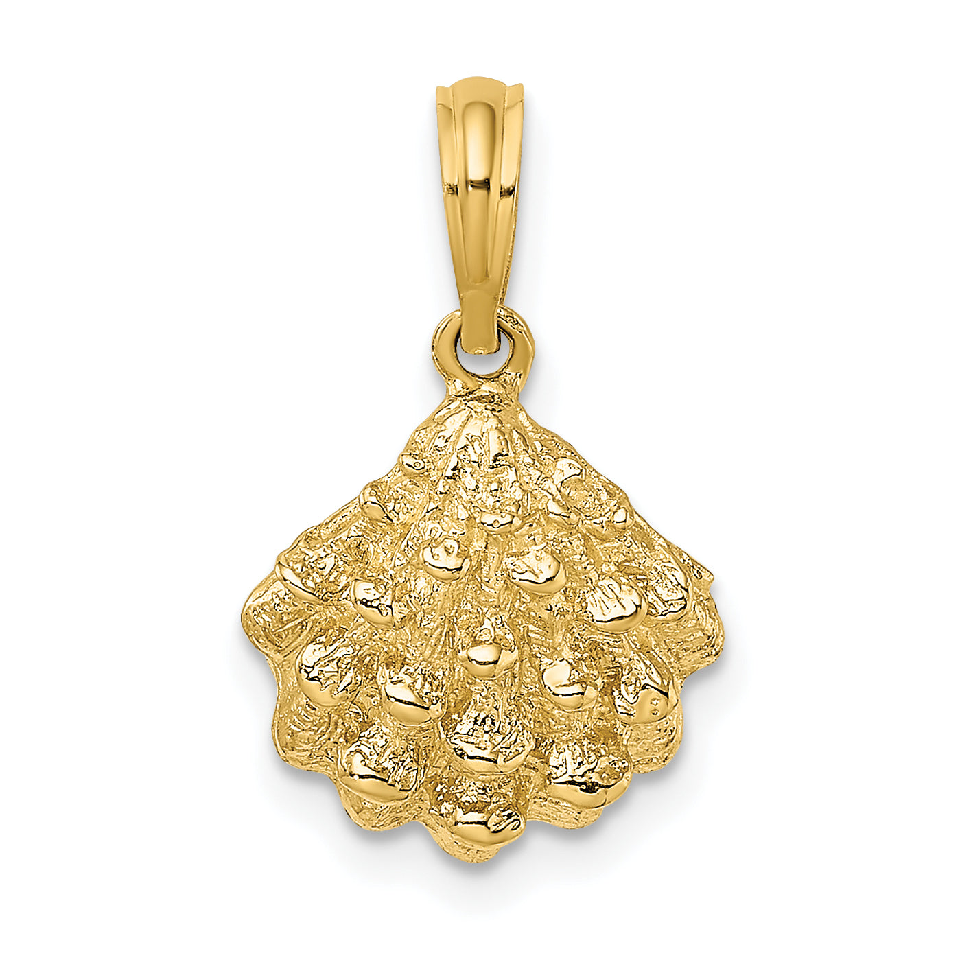 14K Textured Oyster Shell Charm