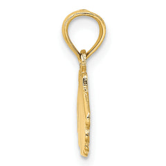 14K Polished and Engraved Shell Charm