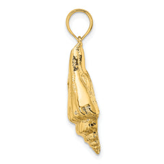 14K Polished Elongated Shell Charm
