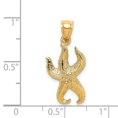 14K Textured Starfish Charm
