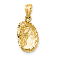 14K Abalone Shell Charm