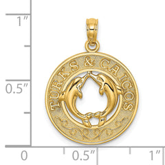 14K TURKS AND CAICOS w/ Dolphins Circle Charm