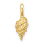 14K Mini Conch Shell Charm
