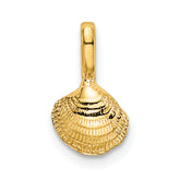 14K Mini Clam Shell Charm