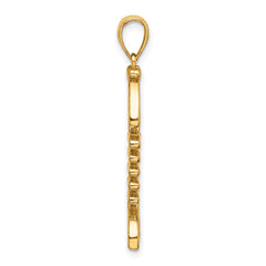 14K 3-D Polished/ Textured Fishbone Charm
