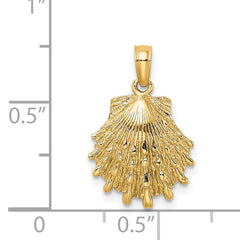 14K Lion's Paw Shell Charm