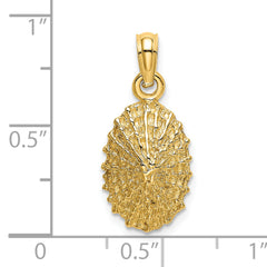 14K Textured Limpet Shell Charm