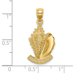 14K 2-D TURKS AND CAICOS Under Conch Shell Charm