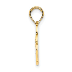 14K SAN DIEGO Banner Dolphins Charm