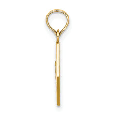 14K Caduceus Textured Back Medical Charm