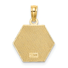 14K Caduceus Textured Back Medical Charm