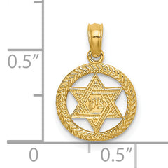 14K Engraved Star Of David In Circle Charm