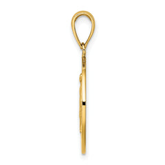 14K Polished and Satin Miraculous Medal Charm