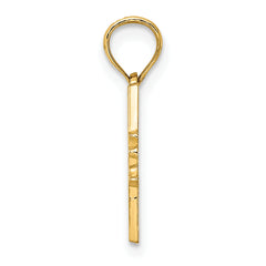 14K DR. HENRY HUNT HOUSE - CAPE MAY, NJ Charm