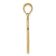 14k w/ Rhodium American Flag Charm