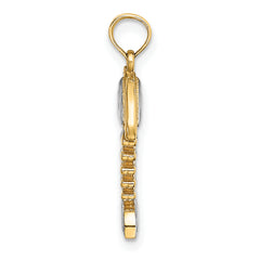 14K w/Rhodium 3-D Fishbone Charm