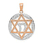 Star of David & Chai Pendant in 14K Rose & White Gold, 30mm - Sophia Jewelers