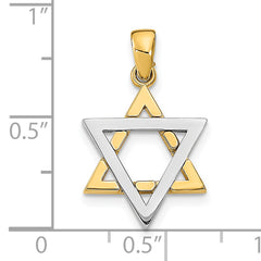 14K Two-Tone Star Of David Charm