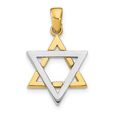 14K Two-Tone Star Of David Charm