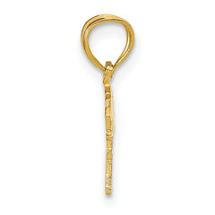 14K BORN TO WIN Pendant