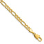 Kelly Waters Gold-plated 5mm Figaro Chain Necklace