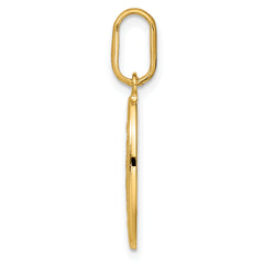 14k Polished and Matte Oval Miraculous Medal