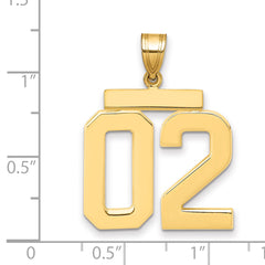 10k Large Polished Number 02 Charm