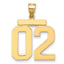 10k Large Polished Number 02 Charm