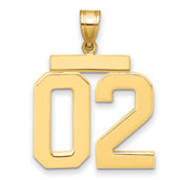 10k Large Polished Number 02 Charm